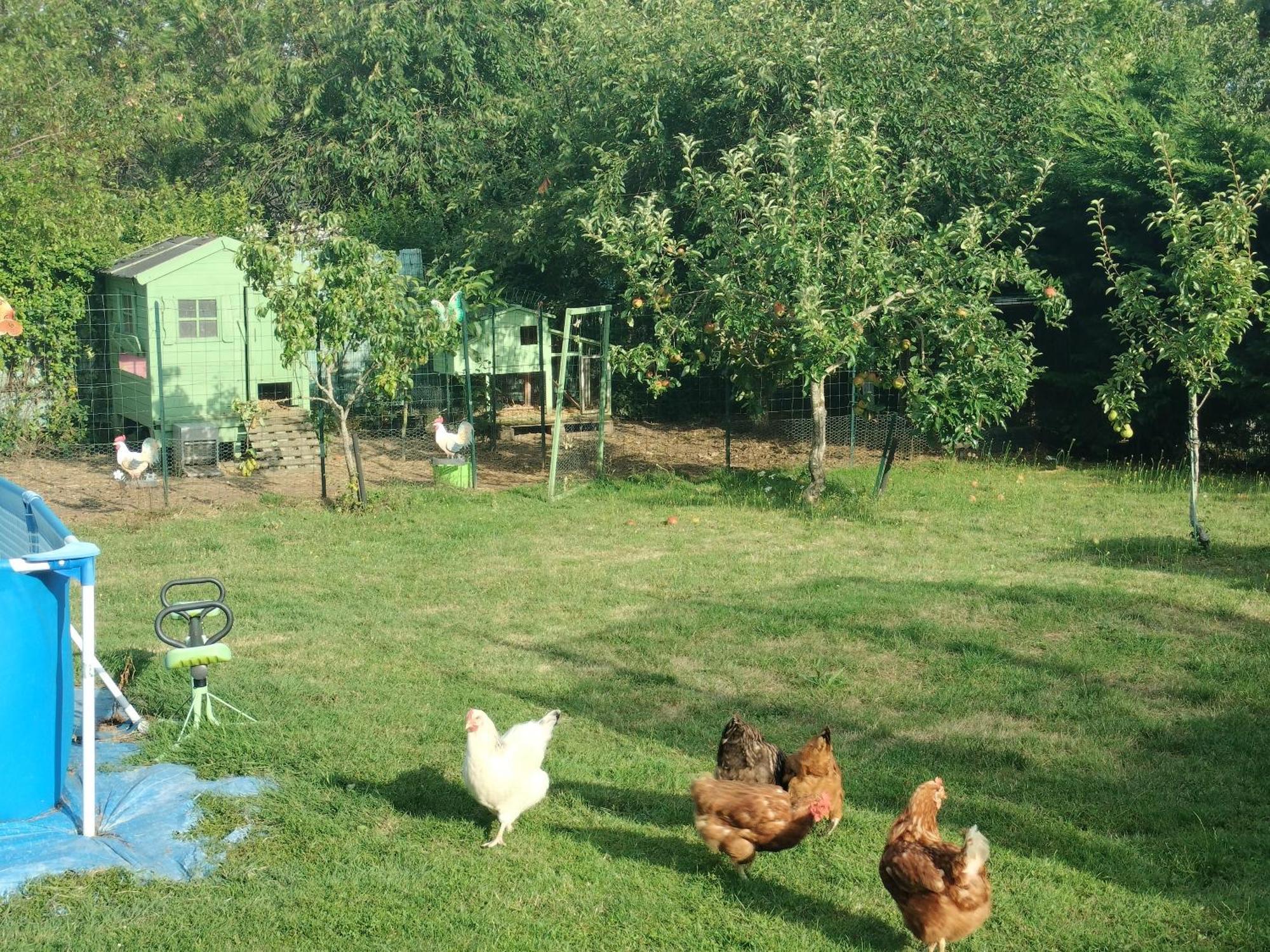 Un Avec Entree Independante Apartamento